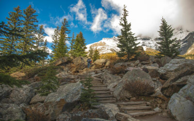 Comment transformer votre projet de vie en succès concret ?